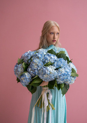 Гортензия «Blue» 15штук — купить с доставкой